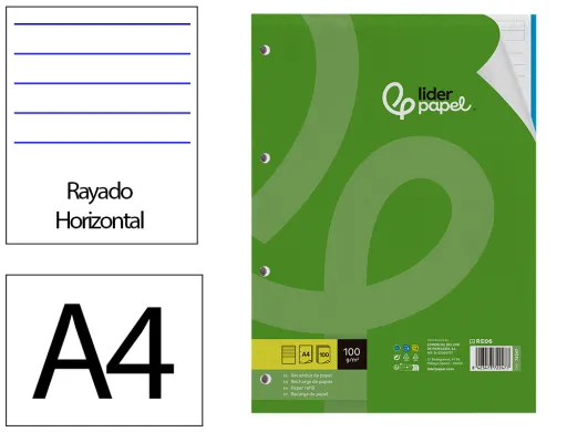 Recarga Din A4 100 F 100 gr Pautado Horizontal Sem Margen 4 Furos Bandas de 5 Cores
